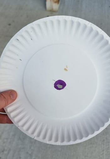 Dead Paper plate